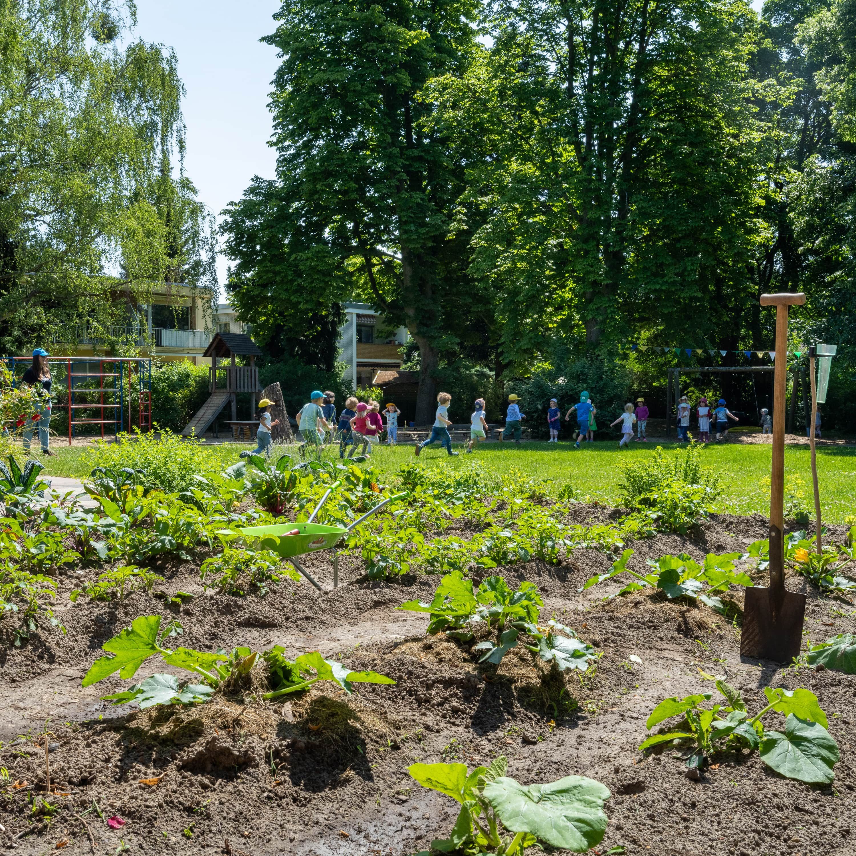 Gemüseanbau auf dem Acker
